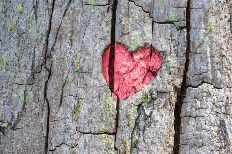 Mindfulness Image